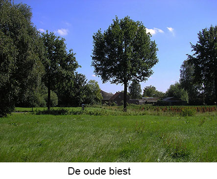 oude biest